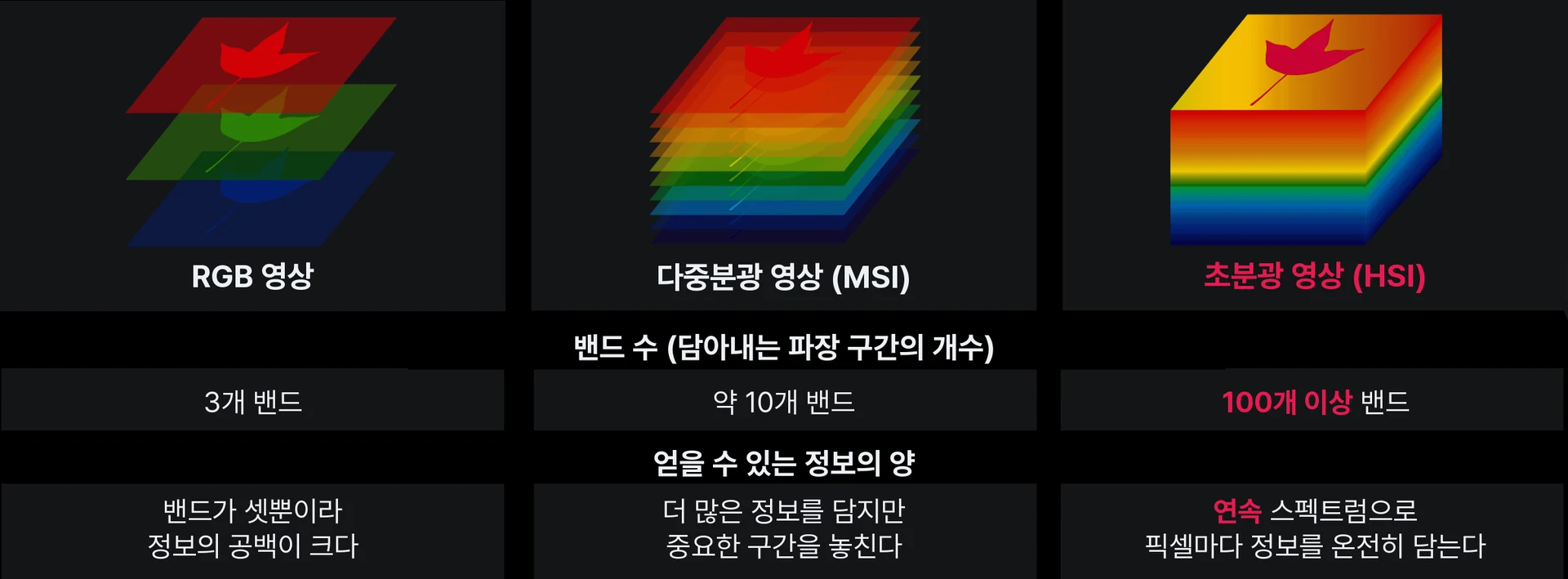 RGB·다중분광(MSI)·초분광(HSI) 이미징 비교 — 밴드 수와 추출 가능한 정보량